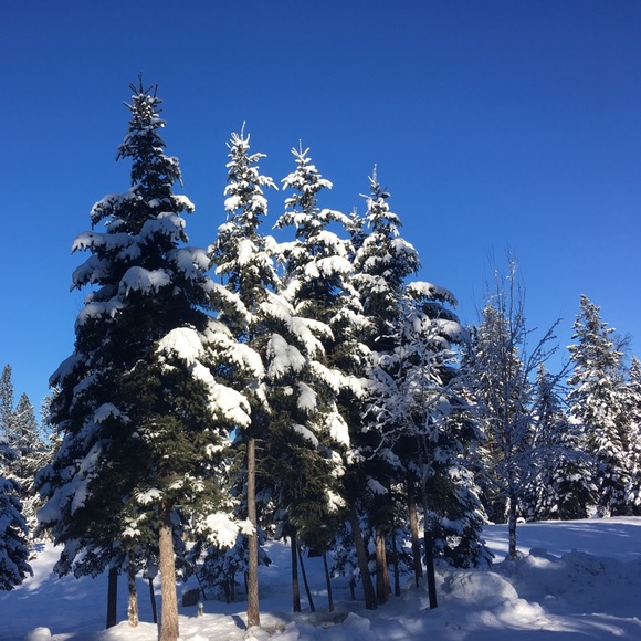 Meet your Posher, C - Picture 5 of 8